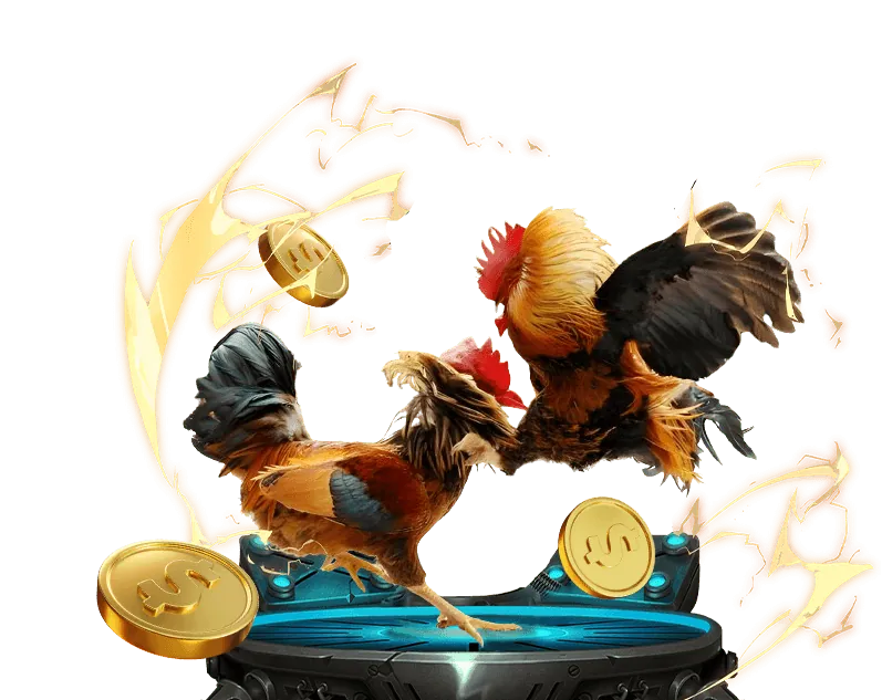 Hình ảnh về cá cược có trách nhiệm